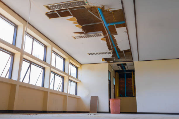 Best Mold removal after water damage  in Saddlebrooke, AZ