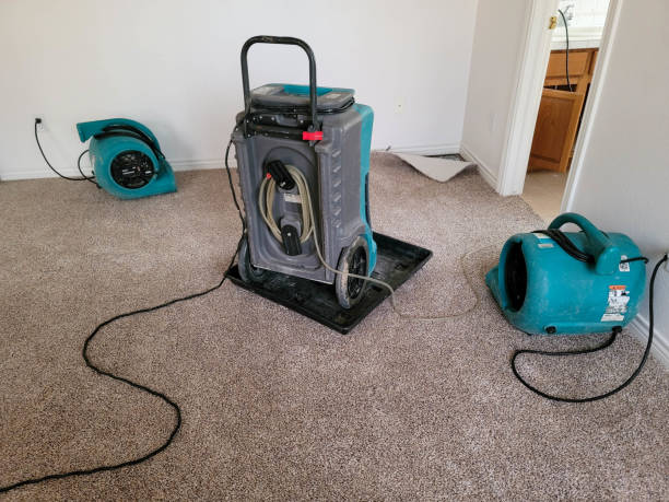 Best Ceiling water damage repair  in Saddlebrooke, AZ