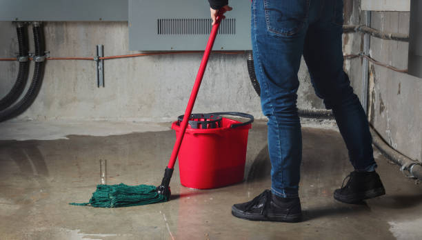 Best 24-hour water damage restoration  in Saddlebrooke, AZ