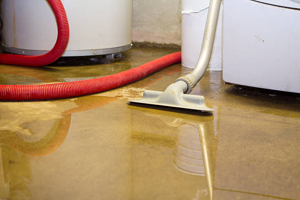 Best Sewage cleanup and water damage restoration  in Saddlebrooke, AZ