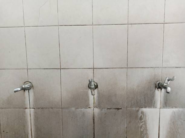 Best Carpet water damage restoration  in Saddlebrooke, AZ