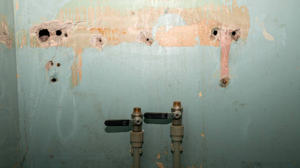 Best Water damage restoration near me  in Saddlebrooke, AZ