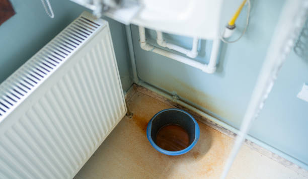 Best Water damage cleanup near me  in Saddlebrooke, AZ