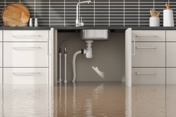 Best Sewage cleanup and water damage restoration  in Saddlebrooke, AZ