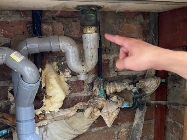 Best Residential water damage restoration  in Saddlebrooke, AZ