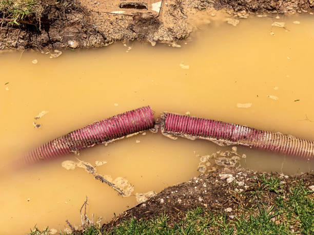 Best 24/7 water damage repair  in Saddlebrooke, AZ