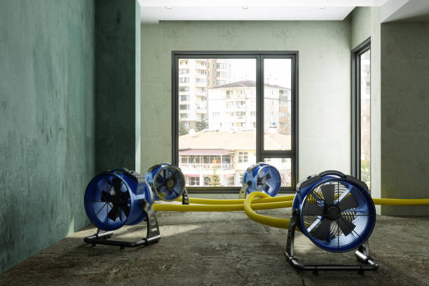 Best Water damage restoration near me  in Saddlebrooke, AZ